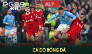 Cá Độ Bóng Đá Là Gì