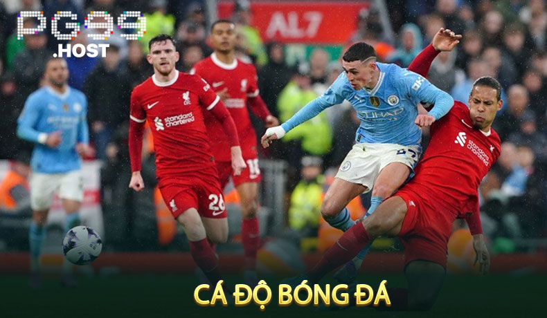 Cá Độ Bóng Đá Là Gì